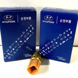 Pera de temperatura Hyundai