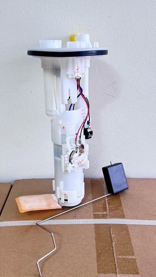 Bomba Gasolina Toyota Terios